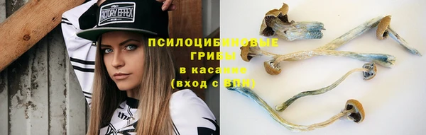 таблы Козельск