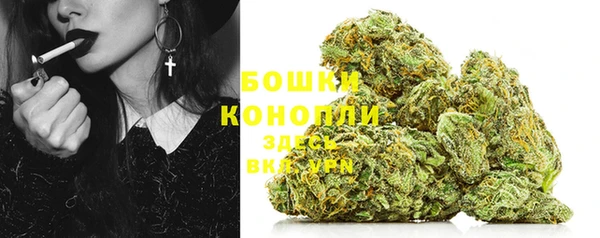 таблы Козельск