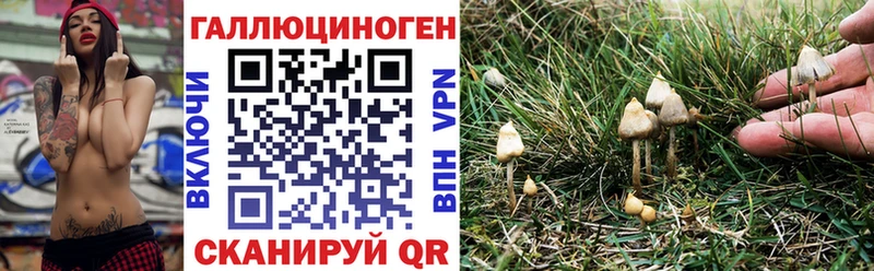 Псилоцибиновые грибы Magic Shrooms  Купить  Нязепетровск 